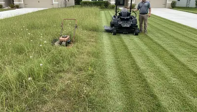 Before and after lawn mowing showing yard transformation by Chop Chop Landscaping in New Port Richey FL