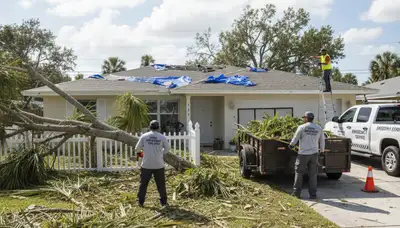 Storm damage cleanup and debris removal by landscaping crew in New Port Richey, FL yard